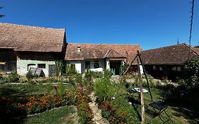 Saschiz 175 Guesthouse